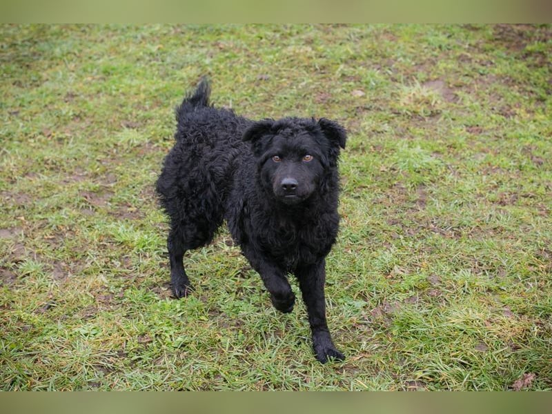 Chip-Nr. 259187 - ich freue mich auf tolle Abenteuer mit meiner Familie!