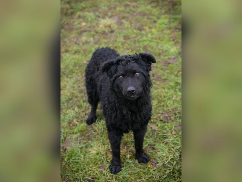 NOX - ich freue mich auf tolle Abenteuer mit meiner Familie!