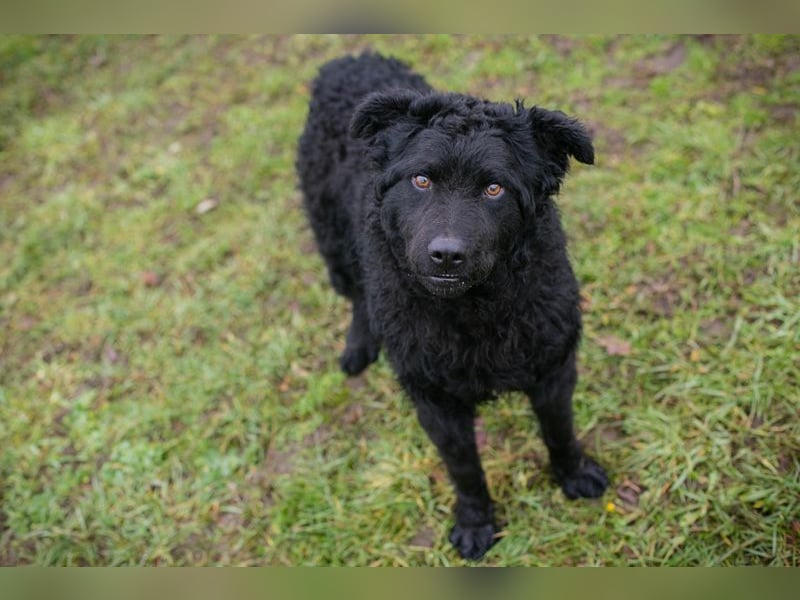 NOX - ich freue mich auf tolle Abenteuer mit meiner Familie!