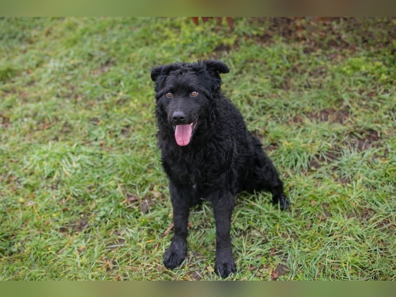 Chip-Nr. 259187 - ich freue mich auf tolle Abenteuer mit meiner Familie!