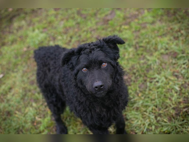 Chip-Nr. 259187 - ich freue mich auf tolle Abenteuer mit meiner Familie!