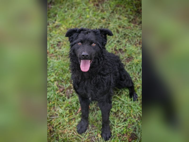 NOX - ich freue mich auf tolle Abenteuer mit meiner Familie!