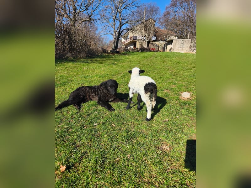 BIKE sucht seine Herzmenschen❤️