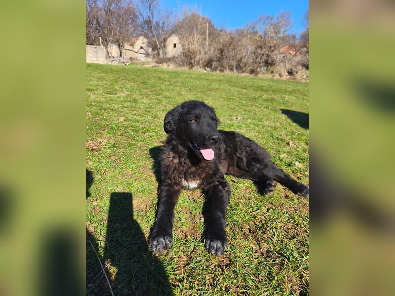 BIKE sucht seine Herzmenschen❤️