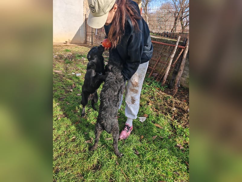 BIKE sucht seine Herzmenschen❤️