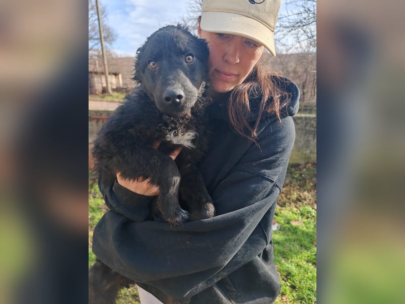 BIKE sucht seine Herzmenschen❤️