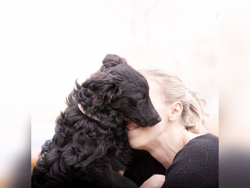 Buba sucht ihr perfect match ❤️