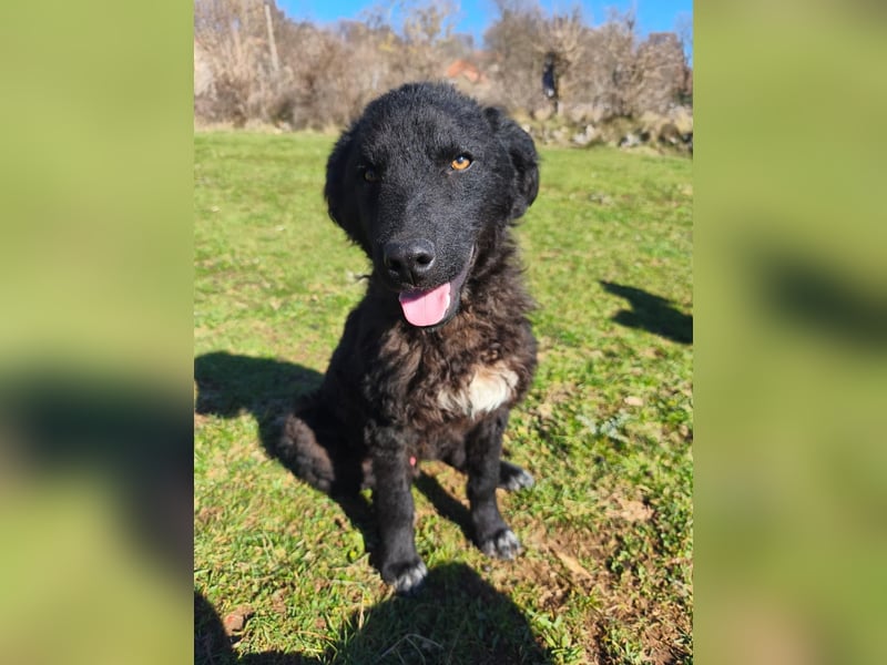 BIKE sucht seine Herzmenschen❤️