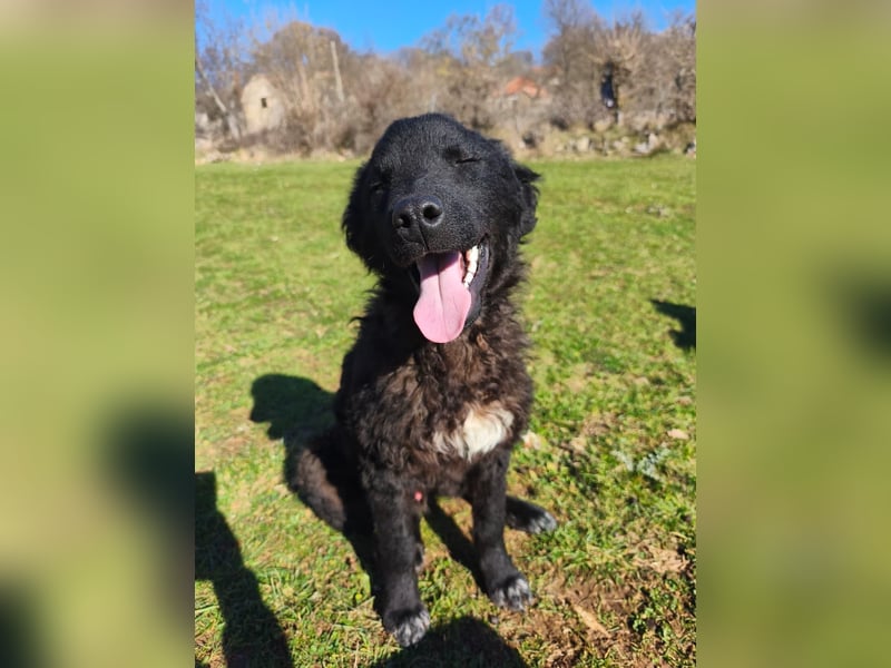 BIKE sucht seine Herzmenschen❤️