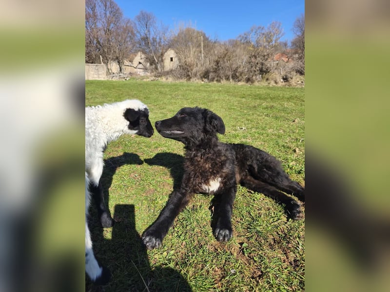 BIKE sucht seine Herzmenschen❤️