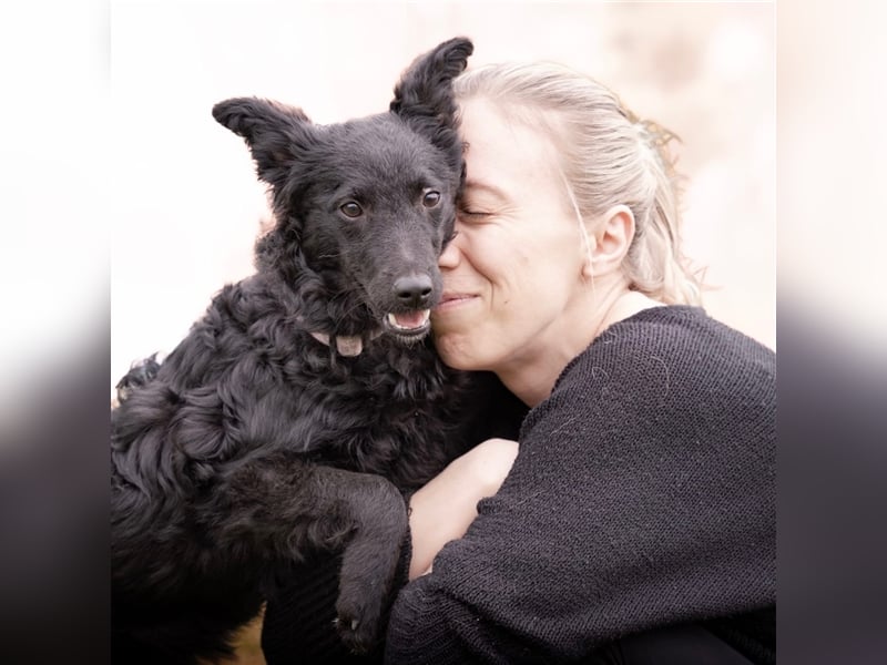 Buba sucht ihr perfect match ❤️