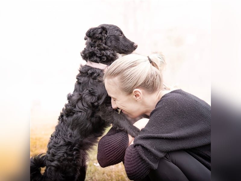 Buba sucht ihr perfect match ❤️