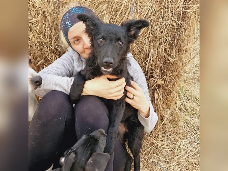 Buba sucht ihr perfect match ❤️