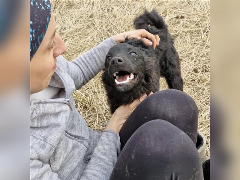 Buba sucht ihr perfect match ❤️