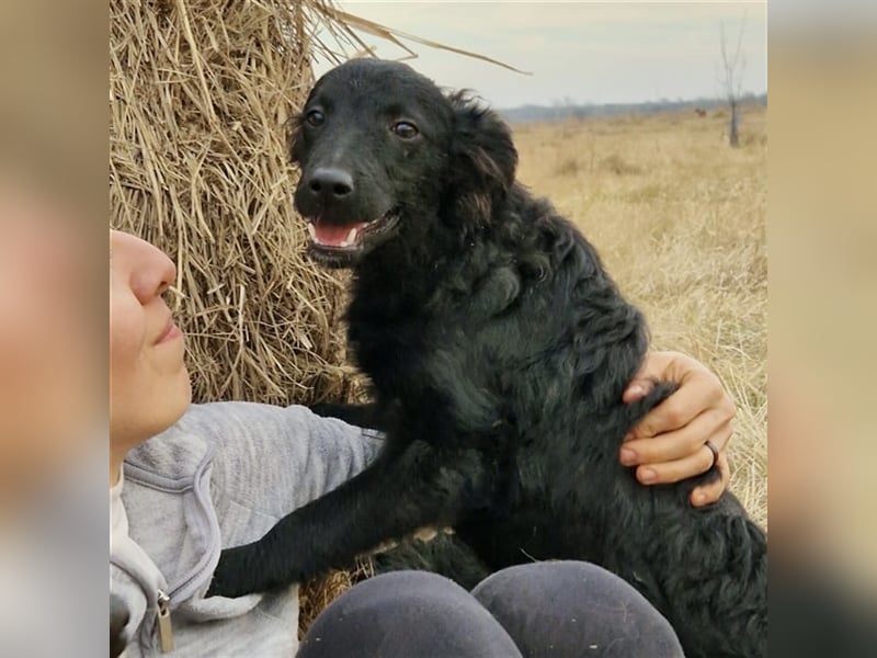 Buba sucht ihr perfect match ❤️