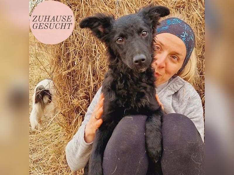 Buba sucht ihr perfect match ❤️