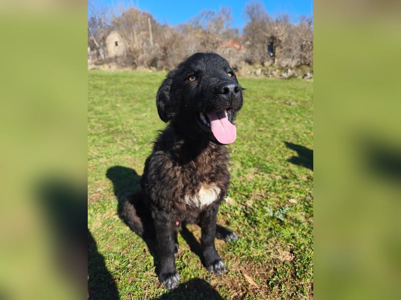 BIKE sucht seine Herzmenschen❤️