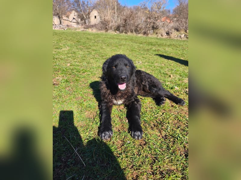 BIKE sucht seine Herzmenschen❤️