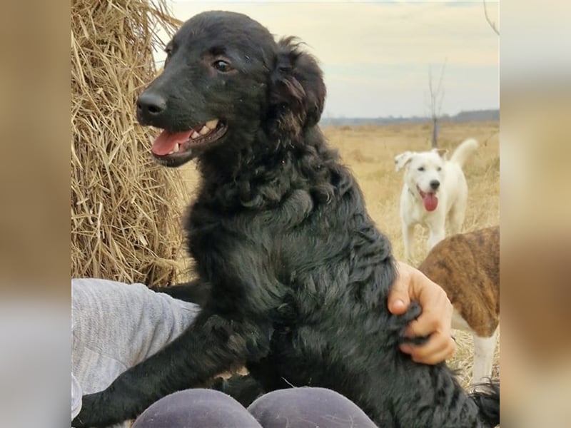 Buba sucht ihr perfect match ❤️