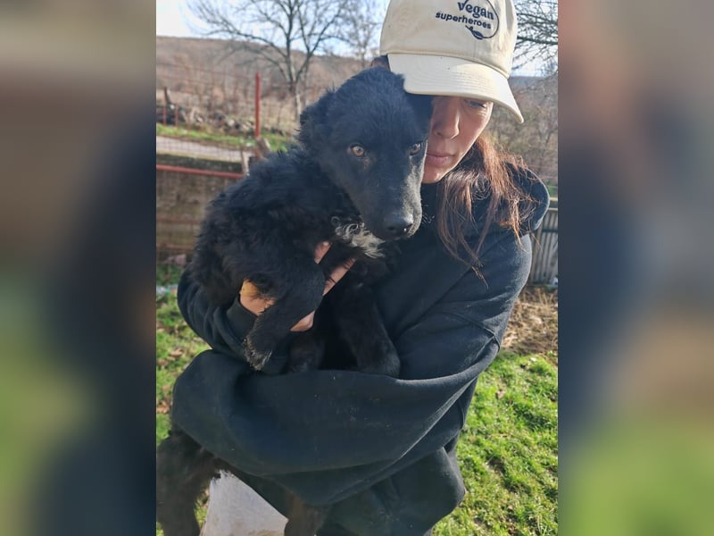 BIKE sucht seine Herzmenschen❤️