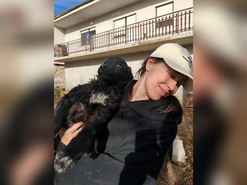 Sweetboy BIKE sucht Zuhause oder Pflegestelle ❤️