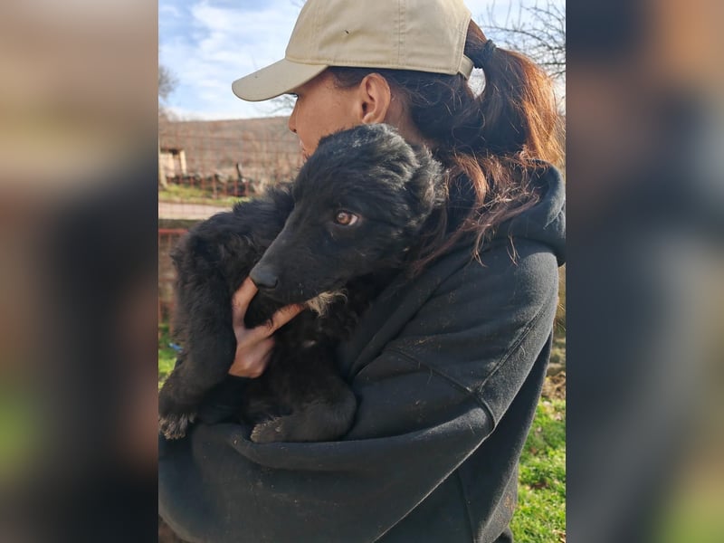 BIKE sucht seine Herzmenschen❤️