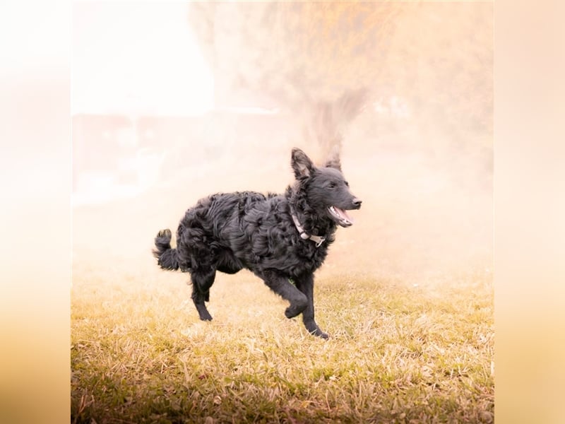 Buba sucht ihr perfect match ❤️