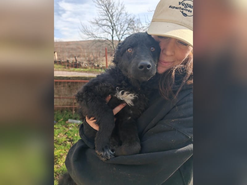 Sweetboy BIKE sucht Zuhause oder Pflegestelle ❤️