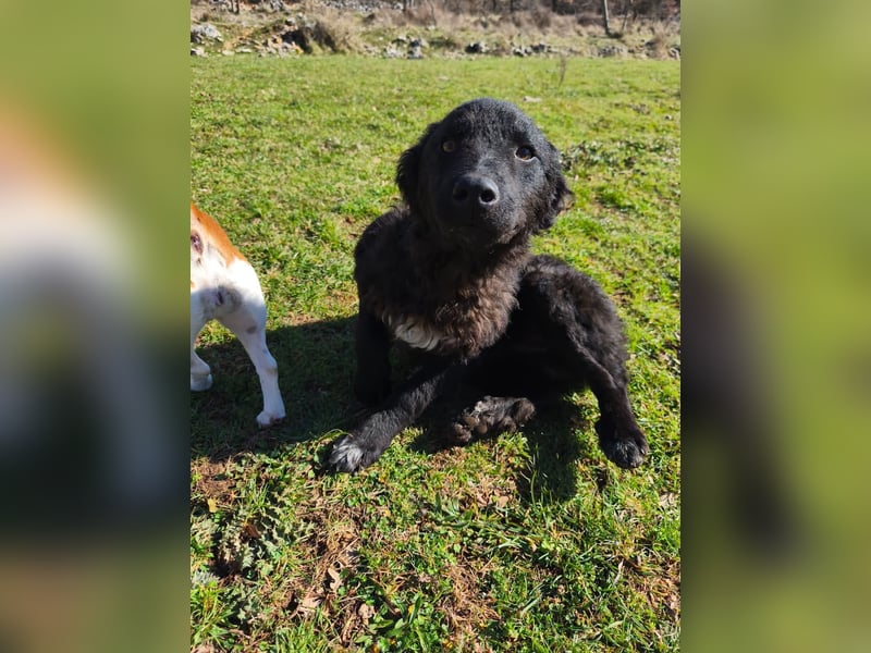 BIKE sucht seine Herzmenschen❤️