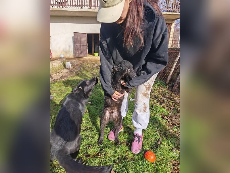 BIKE sucht seine Herzmenschen❤️