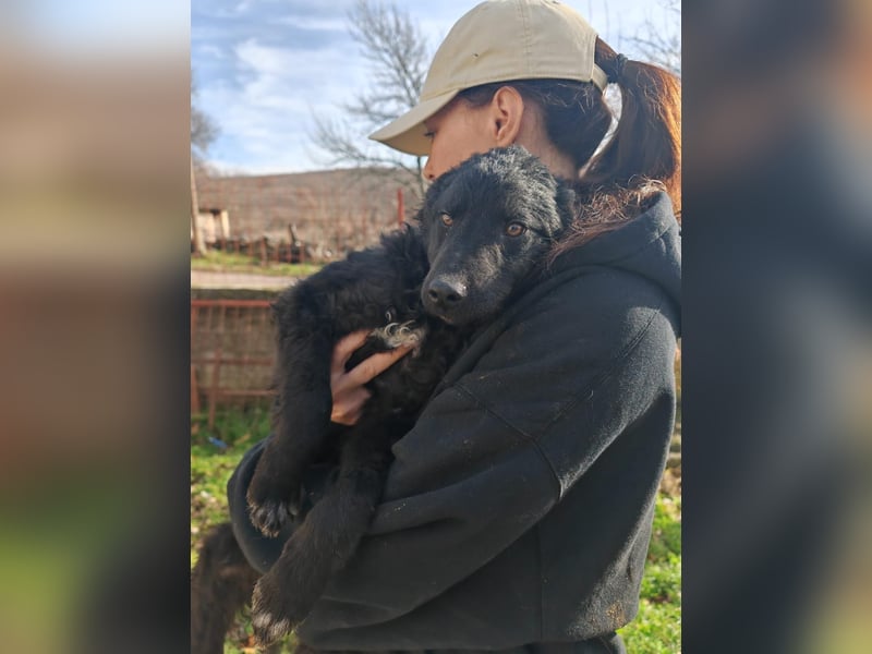 Sweetboy BIKE sucht Zuhause oder Pflegestelle ❤️