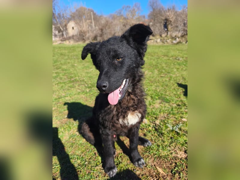 BIKE sucht seine Herzmenschen❤️