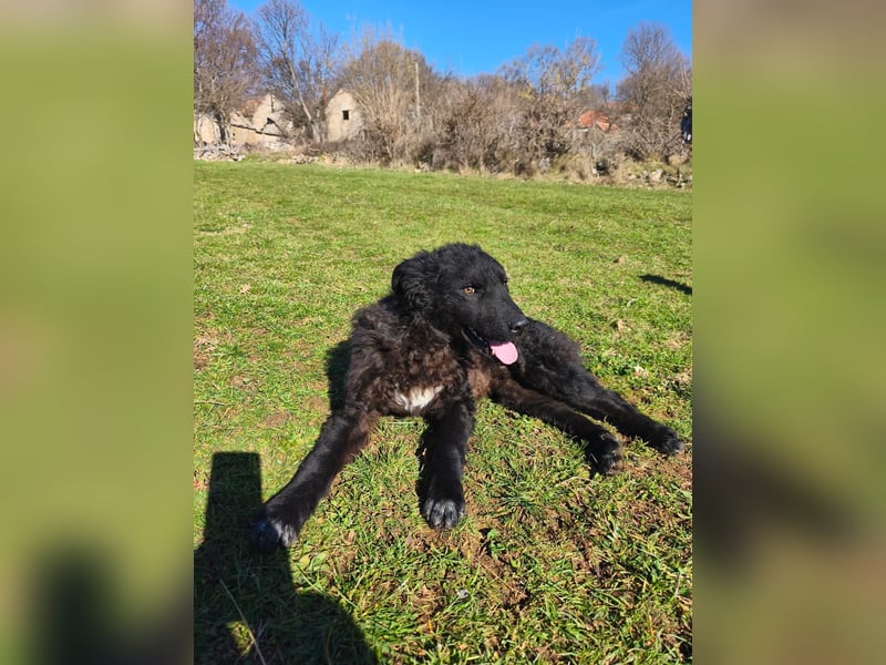 BIKE sucht seine Herzmenschen❤️