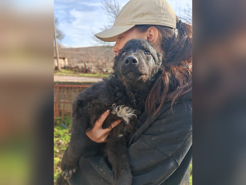 BIKE sucht seine Herzmenschen❤️