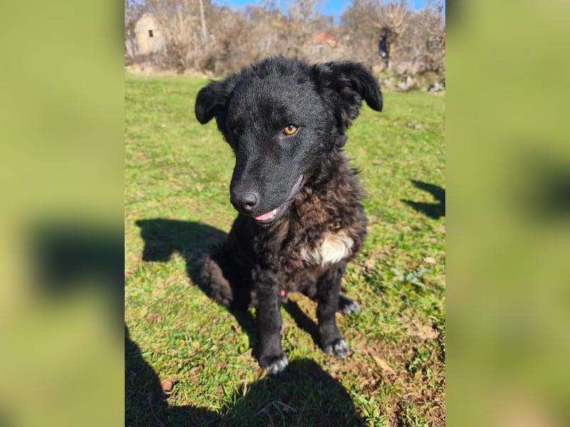 BIKE sucht seine Herzmenschen❤️