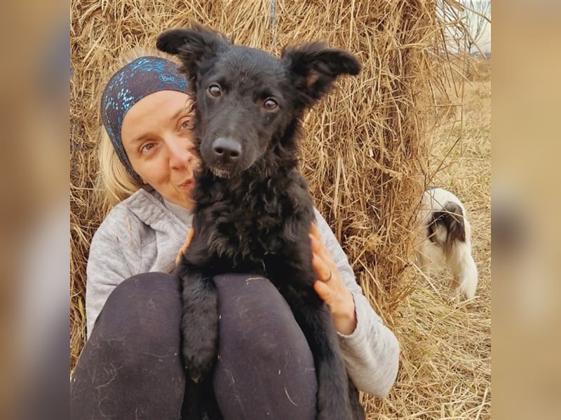 Buba sucht ihr perfect match ❤️