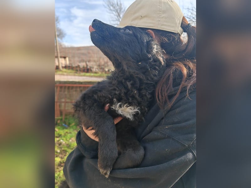 BIKE sucht seine Herzmenschen❤️