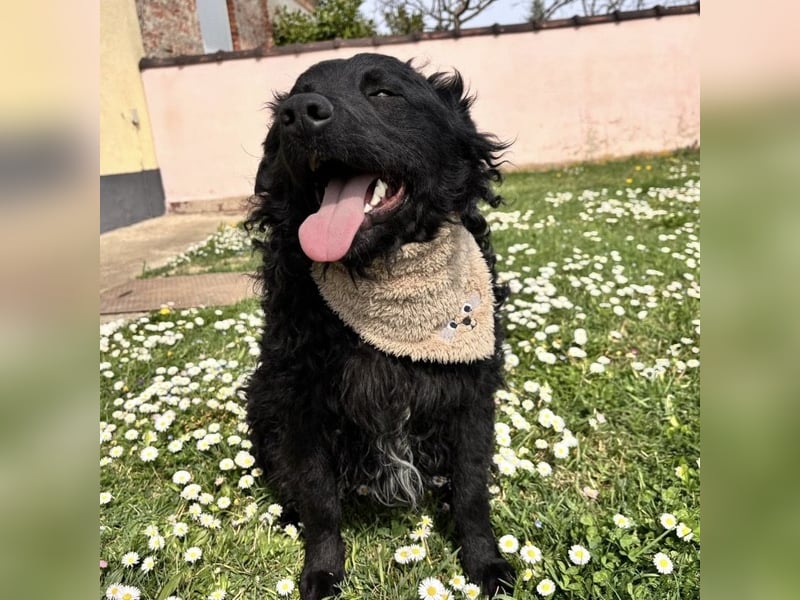 Niok der hübscheste, aber nicht fotogen