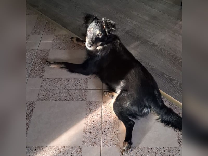 Lori ein absoluter Schatz