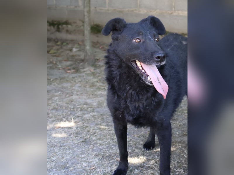 Gea eine schwarze Kämpferin