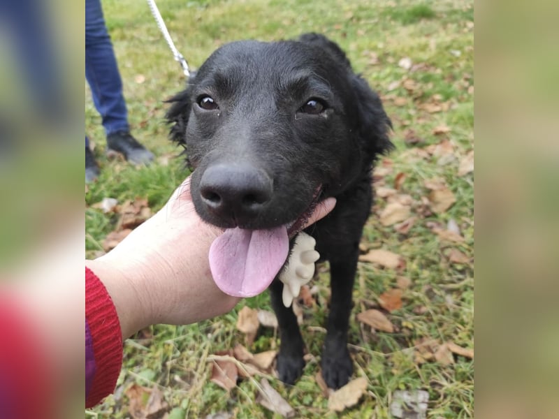 Maki ein sportlicher Schatz