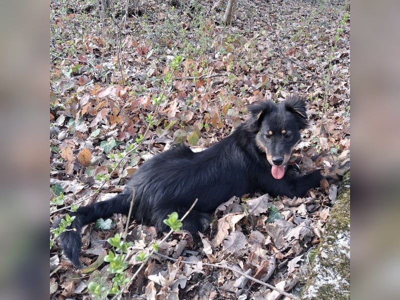 Lori ein absoluter Schatz