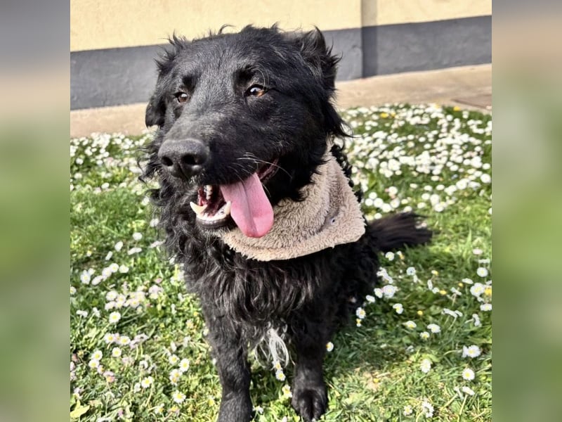 Niok der hübscheste, aber nicht fotogen