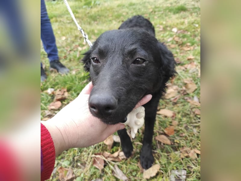 Maki ein sportlicher Schatz