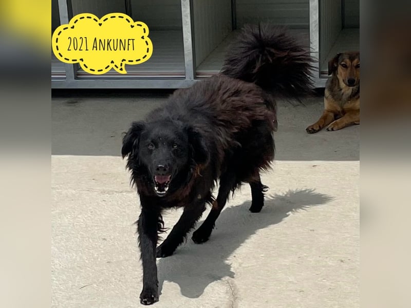 Miko braucht Sicherheit, Liebe und Geborgenheit