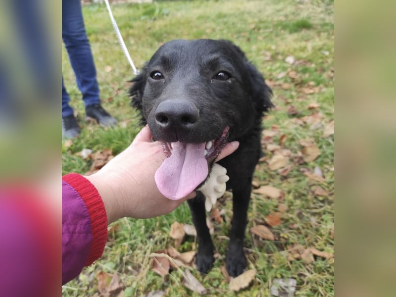 Maki ein sportlicher Schatz