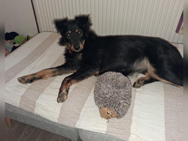 Lori ein absoluter Schatz