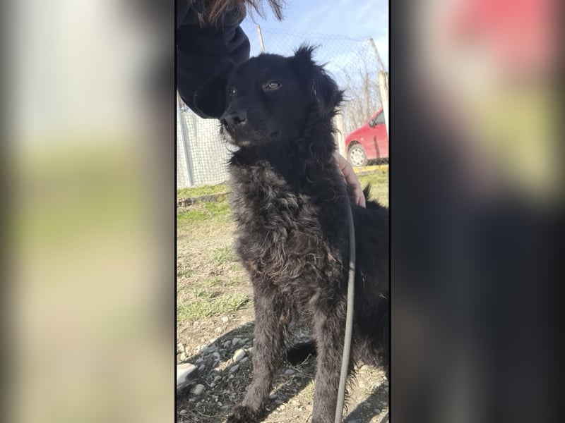 Miko braucht Sicherheit, Liebe und Geborgenheit