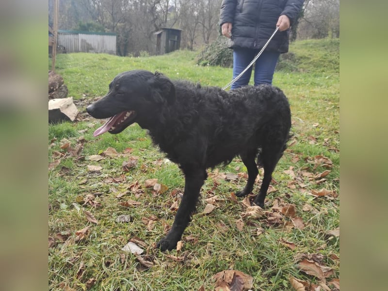 Maki ein sportlicher Schatz