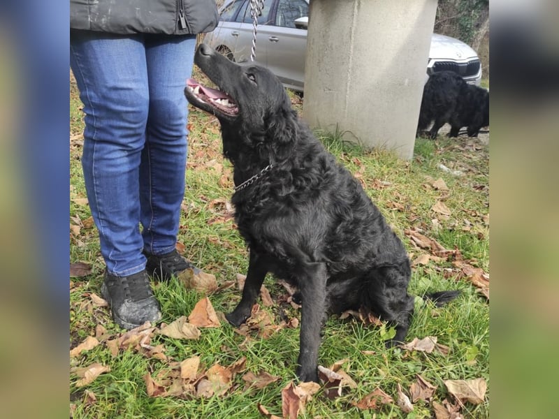 Maki ein sportlicher Schatz